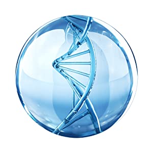 Ácido Hialurónico de bajo peso molecular